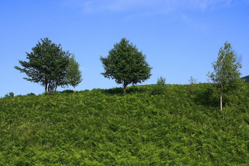 Карпати з panoramio.com - Карпаты