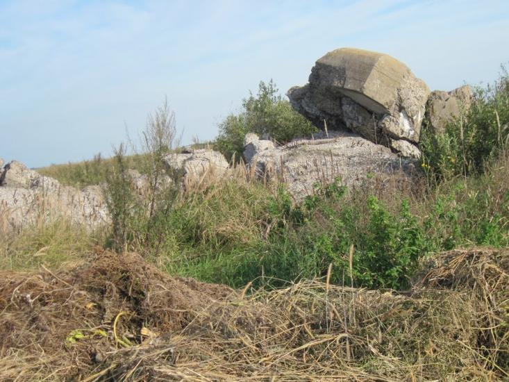 Тихе з panoramio.com - Тихе