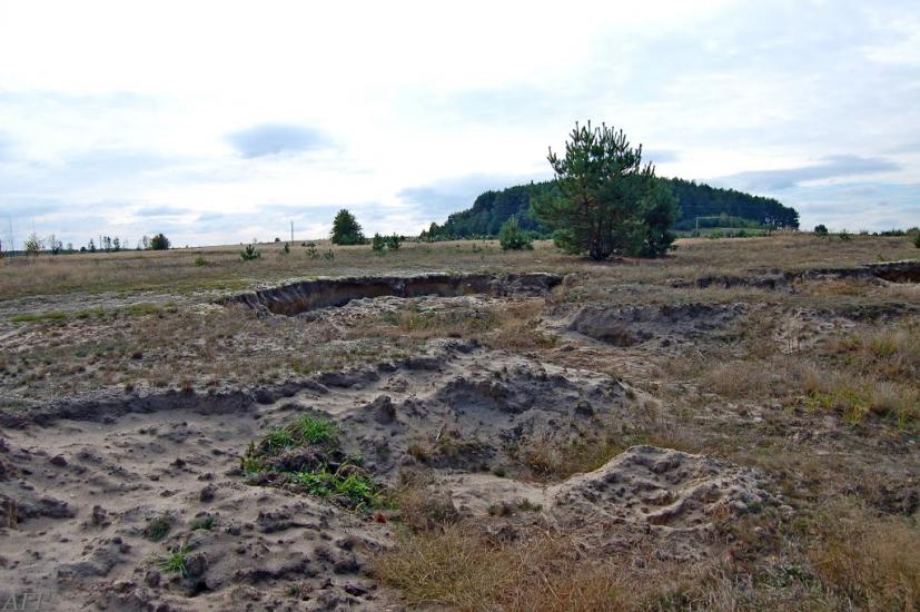 Велика Ведмежка з panoramio.com - Великая Ведмежка