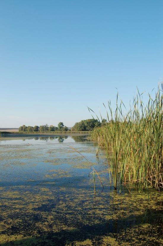 Базалія з panoramio.com - Базалия