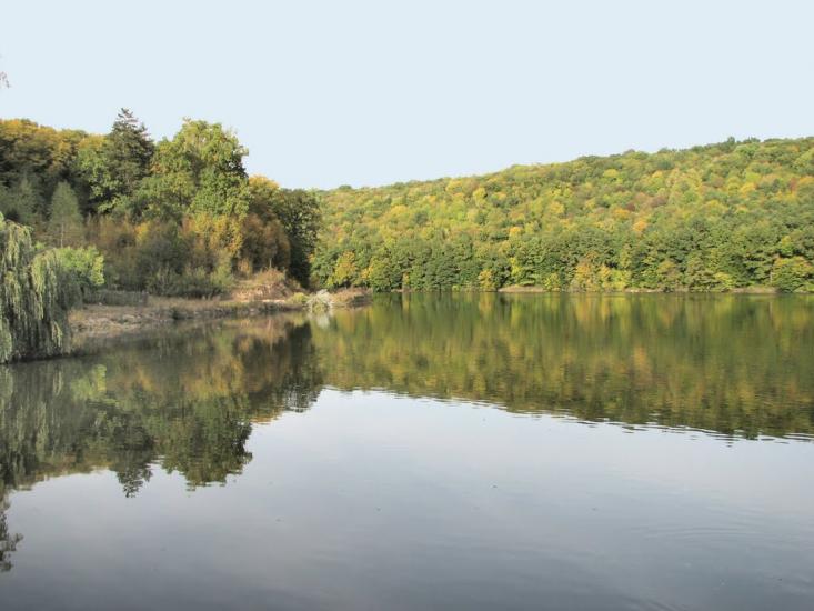 Вербка з panoramio.com - Вербка