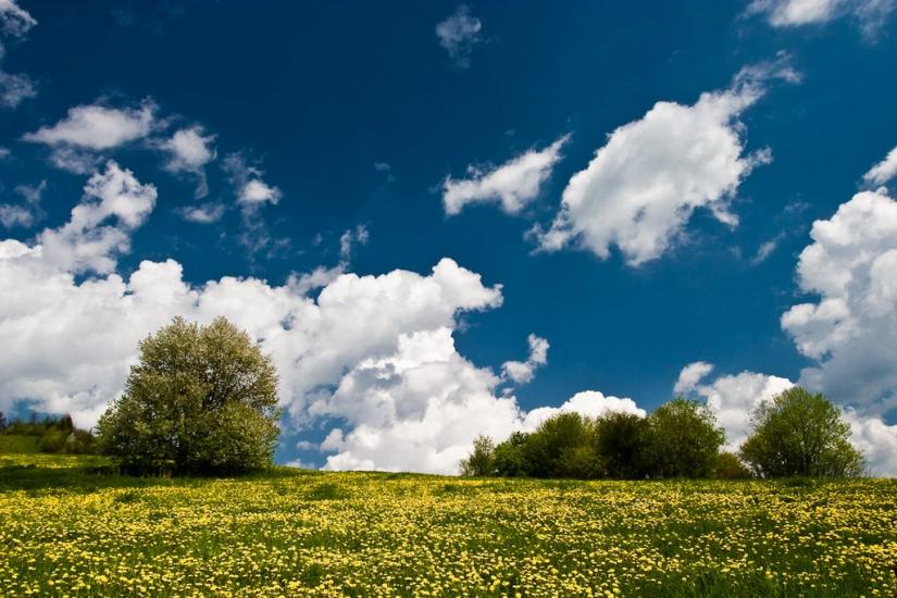 Козьова з panoramio.com - Козева