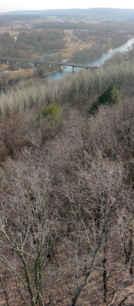 Задонецьке з panoramio.com - Zadonetske