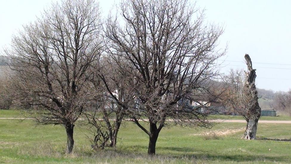 Лікарівка з panoramio.com - Likarivka