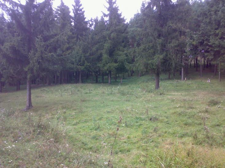 Ружичанка з panoramio.com - Ружичанка