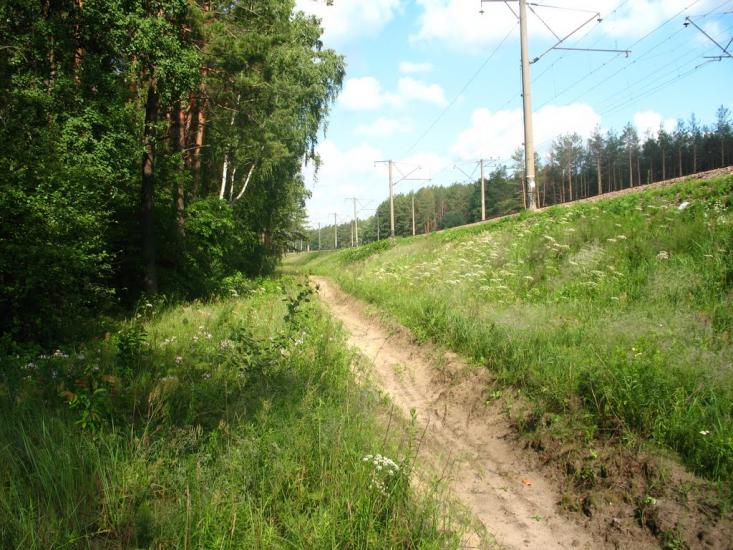 Мала Олександрівка з panoramio.com - Mala Oleksandrivka