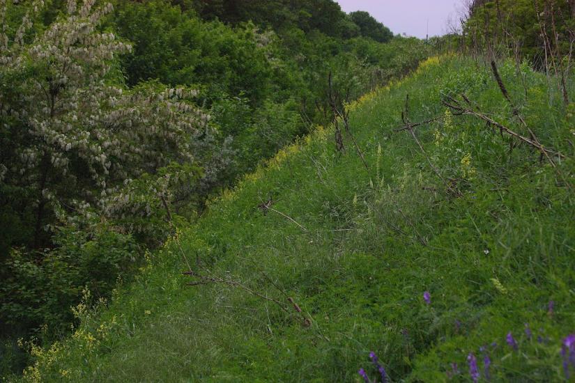 Радянська Україна з panoramio.com - Пригородное