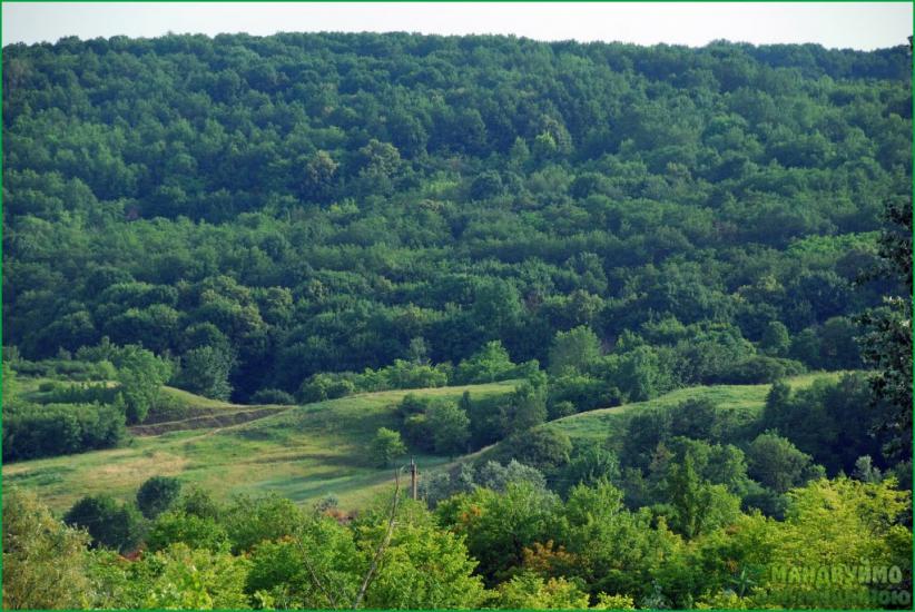 Глинське з panoramio.com - Глинське