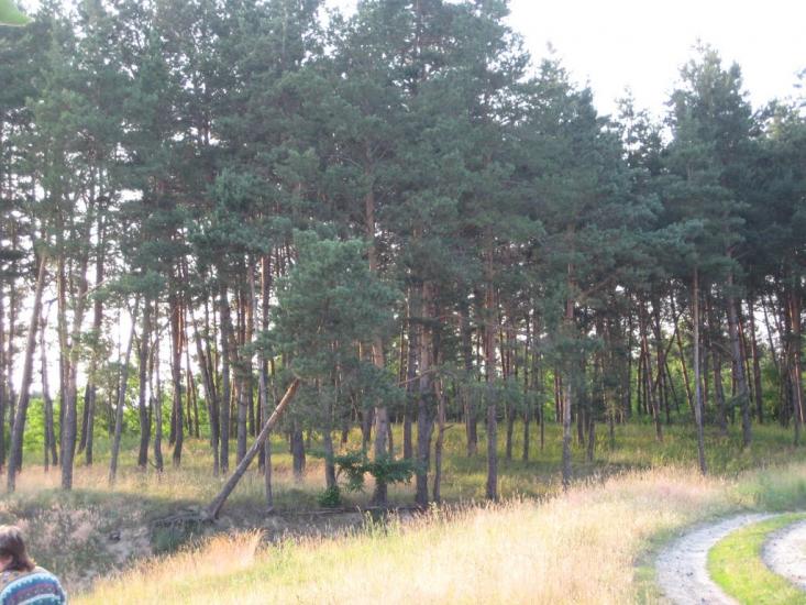 Старосілля з panoramio.com - Староселье