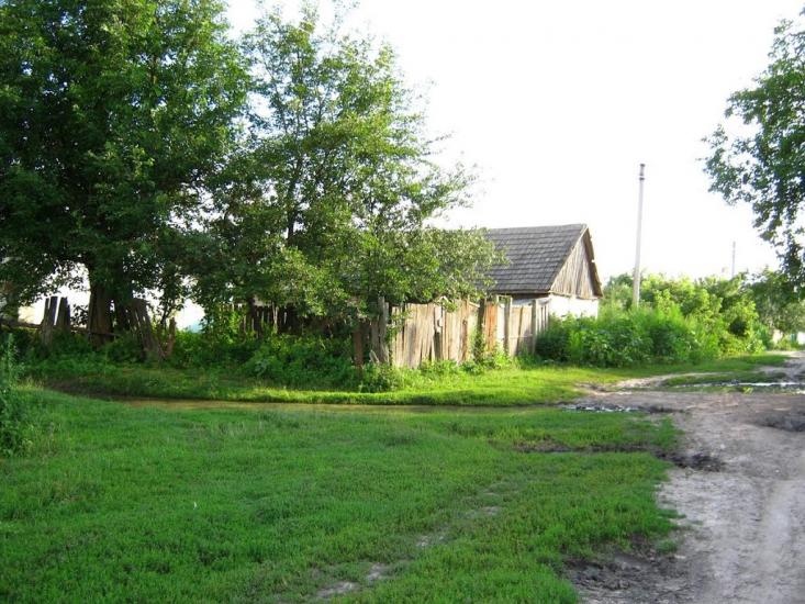 Підлісне з panoramio.com - Підлісне