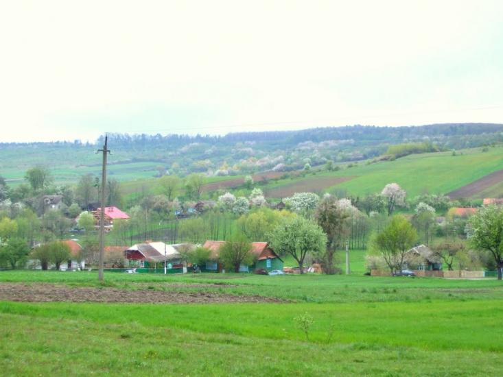 Чижки з panoramio.com - Чижки