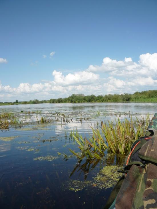 Угриничі з panoramio.com - Угриничі