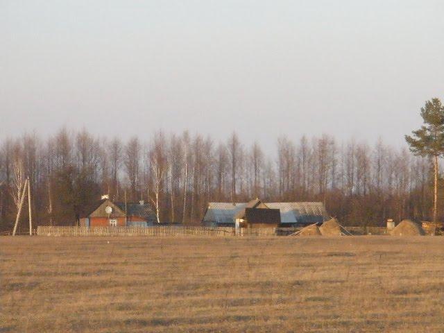 Великі Телковичі з panoramio.com - Великі Телковичі
