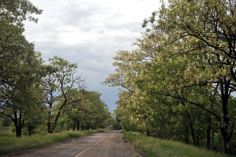 Щербинівка з panoramio.com - Щербинівка