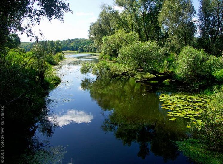 Радичів з panoramio.com - Радичев