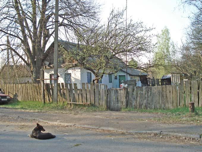 Нівецьке з panoramio.com - Нивецкое