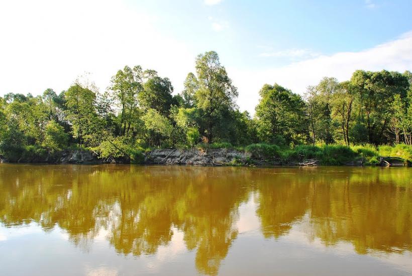 Адамчуки з panoramio.com - Адамчуки
