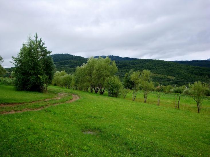 Люта з panoramio.com - Люта