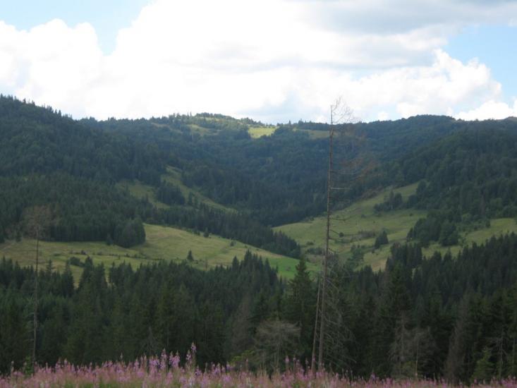 Лавочне з panoramio.com - Лавочное