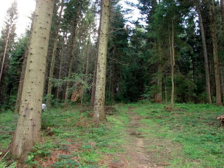 Розлуч з panoramio.com - Rozluch