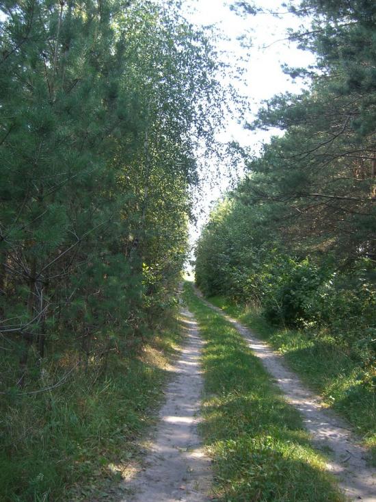 Вівчицьк з panoramio.com - Вовчицк
