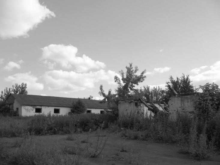 Баламутівка з panoramio.com - Баламутівка