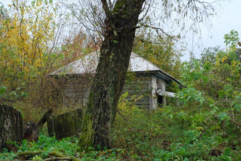 Остапівка з panoramio.com - Остапівка