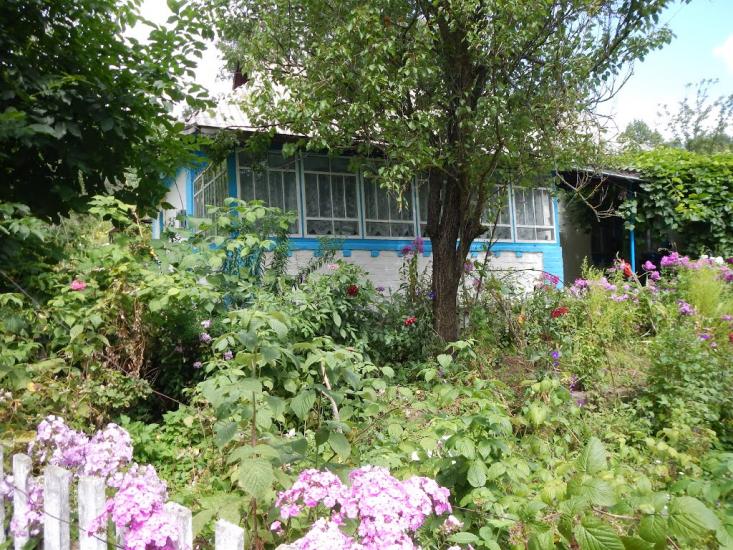 Черемошне з panoramio.com - Cheremoshne