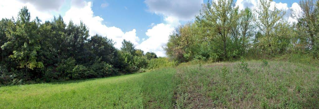 Троща з panoramio.com - Троща