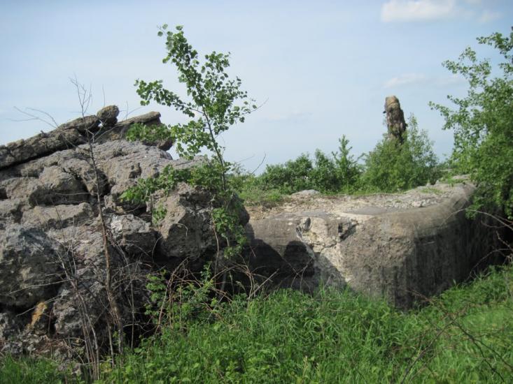 Поляни з panoramio.com - Поляны