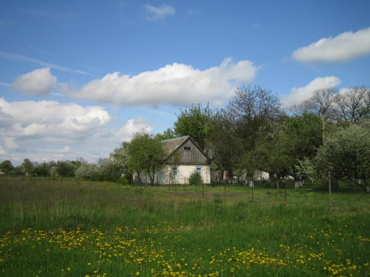 Болячів з panoramio.com - Болячів