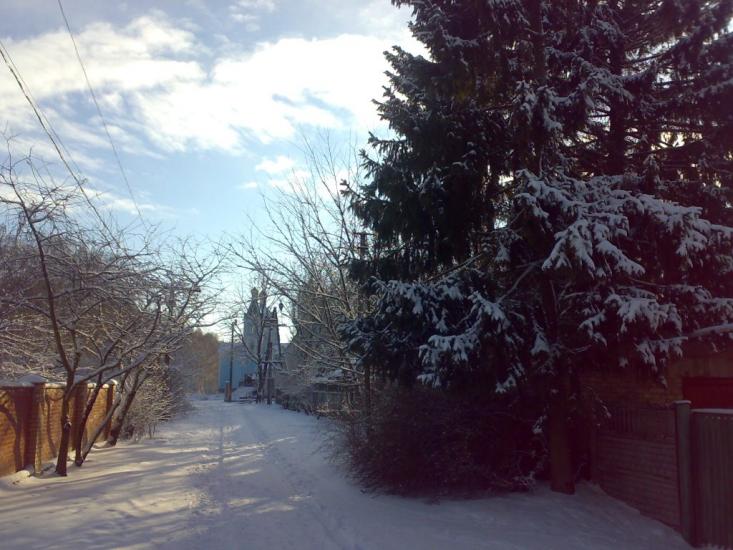 Проліски з panoramio.com - Prolisky