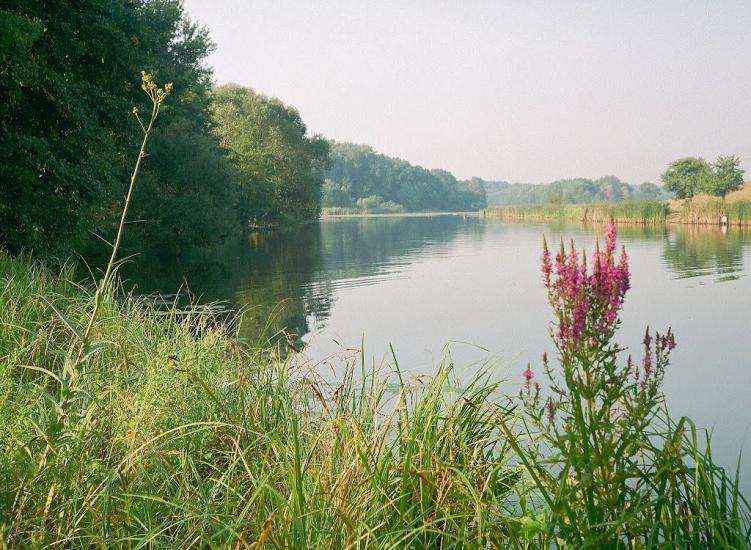 Городище з panoramio.com - Городище