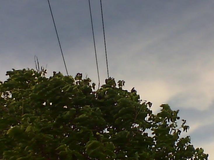 Зелений Гай з panoramio.com - Зелений Гай