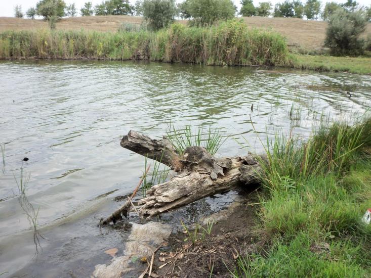 Гнаровське з panoramio.com - Гнаровское