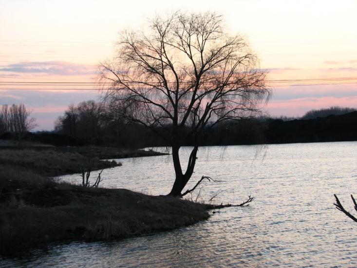 Логачівка з panoramio.com - Логачевка