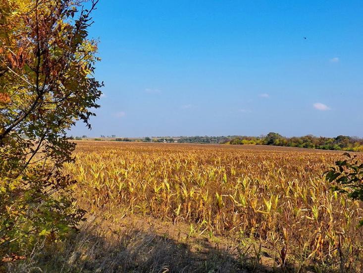 Кринична з panoramio.com - Кринична