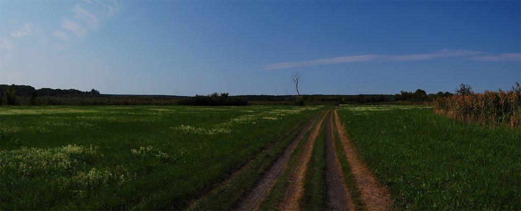 Суха Гомільша з panoramio.com - Сухая Гомольша