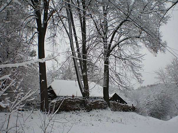 Зима в селі - Червона Діброва