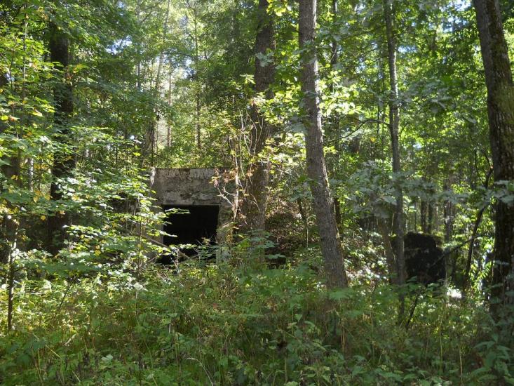 Горщик з panoramio.com - Горщик