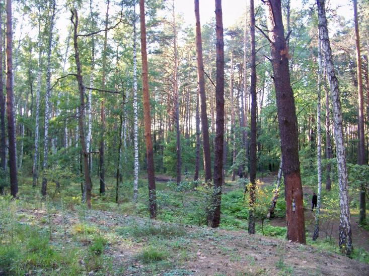 Кролевець з panoramio.com - Кролевец