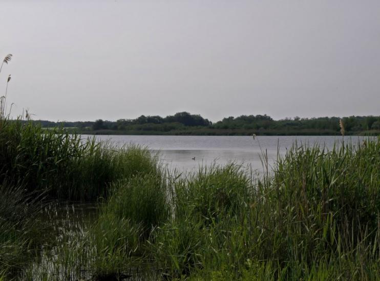 Дніпровка з panoramio.com - Дніпровка