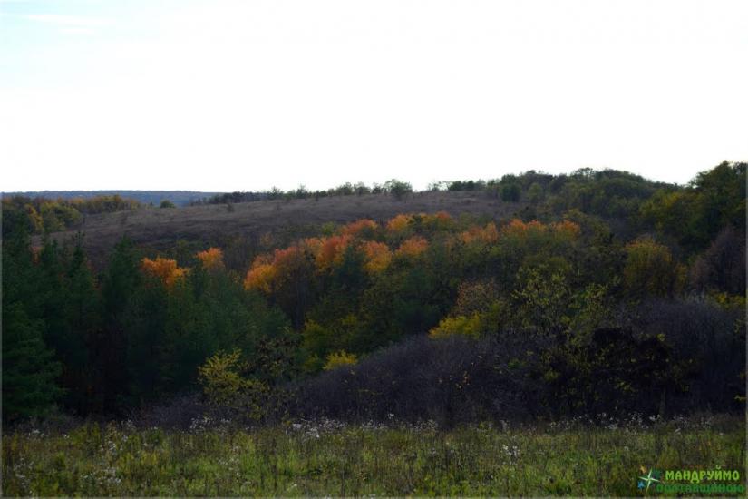 Великі Будища з panoramio.com - Великие Будища
