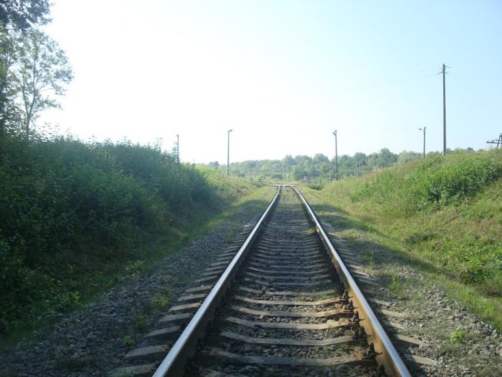 Панівці з panoramio.com - Panivtsi