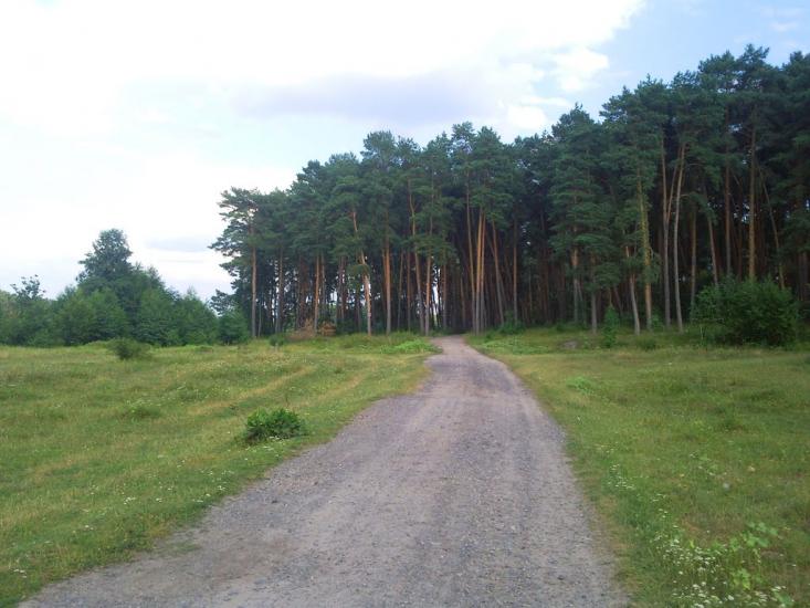 Іволжанське з panoramio.com - Иволжанское