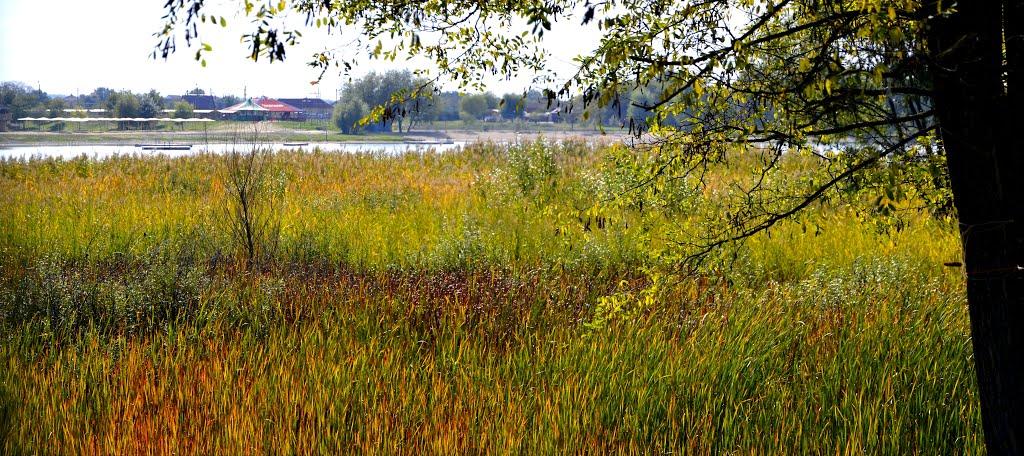 Дийда з panoramio.com - Дийда
