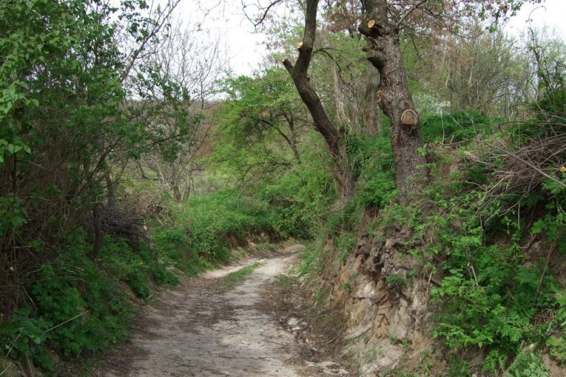 Балико-Щучинка з panoramio.com - Балыко-Щучинка