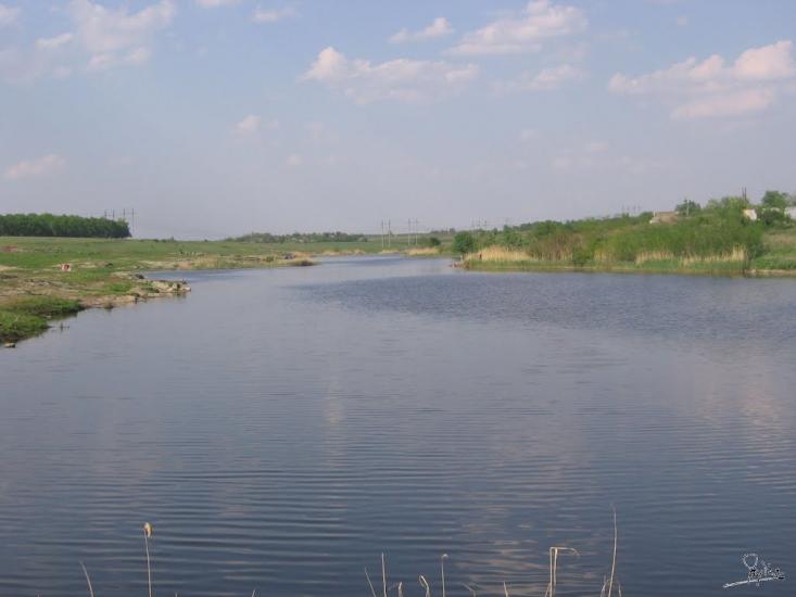 Новоселівка з panoramio.com - Новоселівка