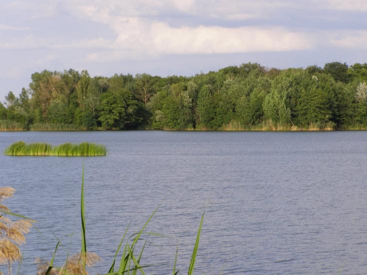 Діброва з panoramio.com - Диброва