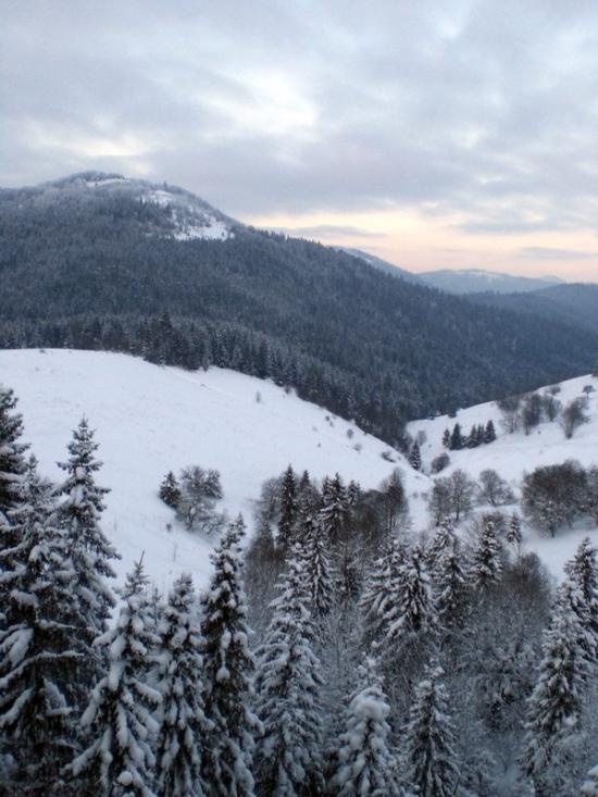 Сухий Потік з panoramio.com - Сухий Потік